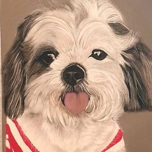 Custom handmade pet portrait, cat, dog, horse portrait